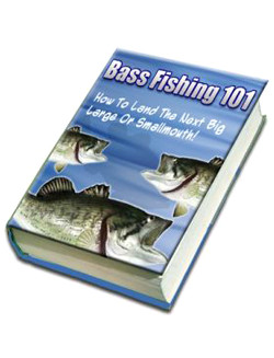 Bass Fishing 101